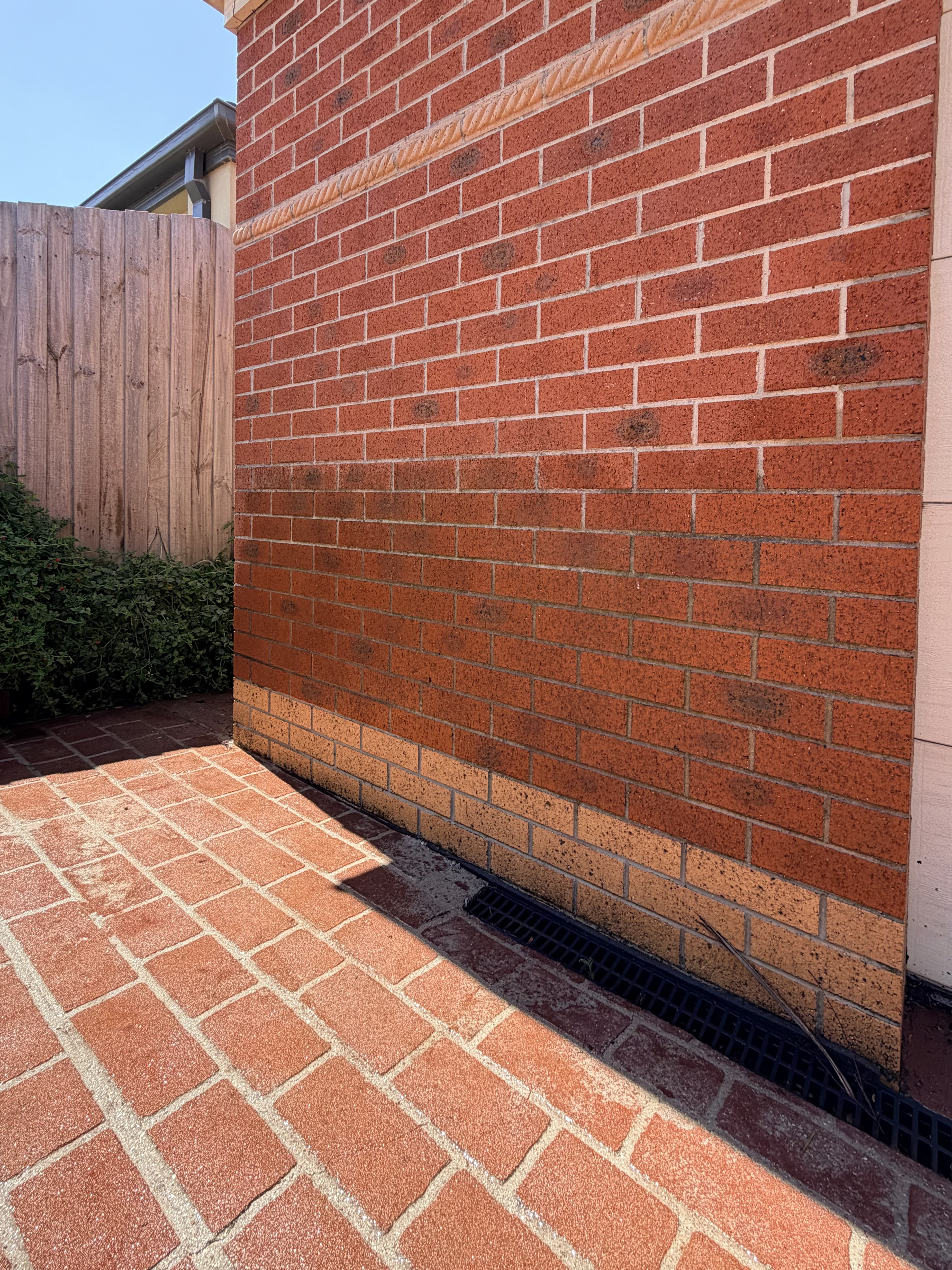 Brick facade after house washing — South East Melbourne