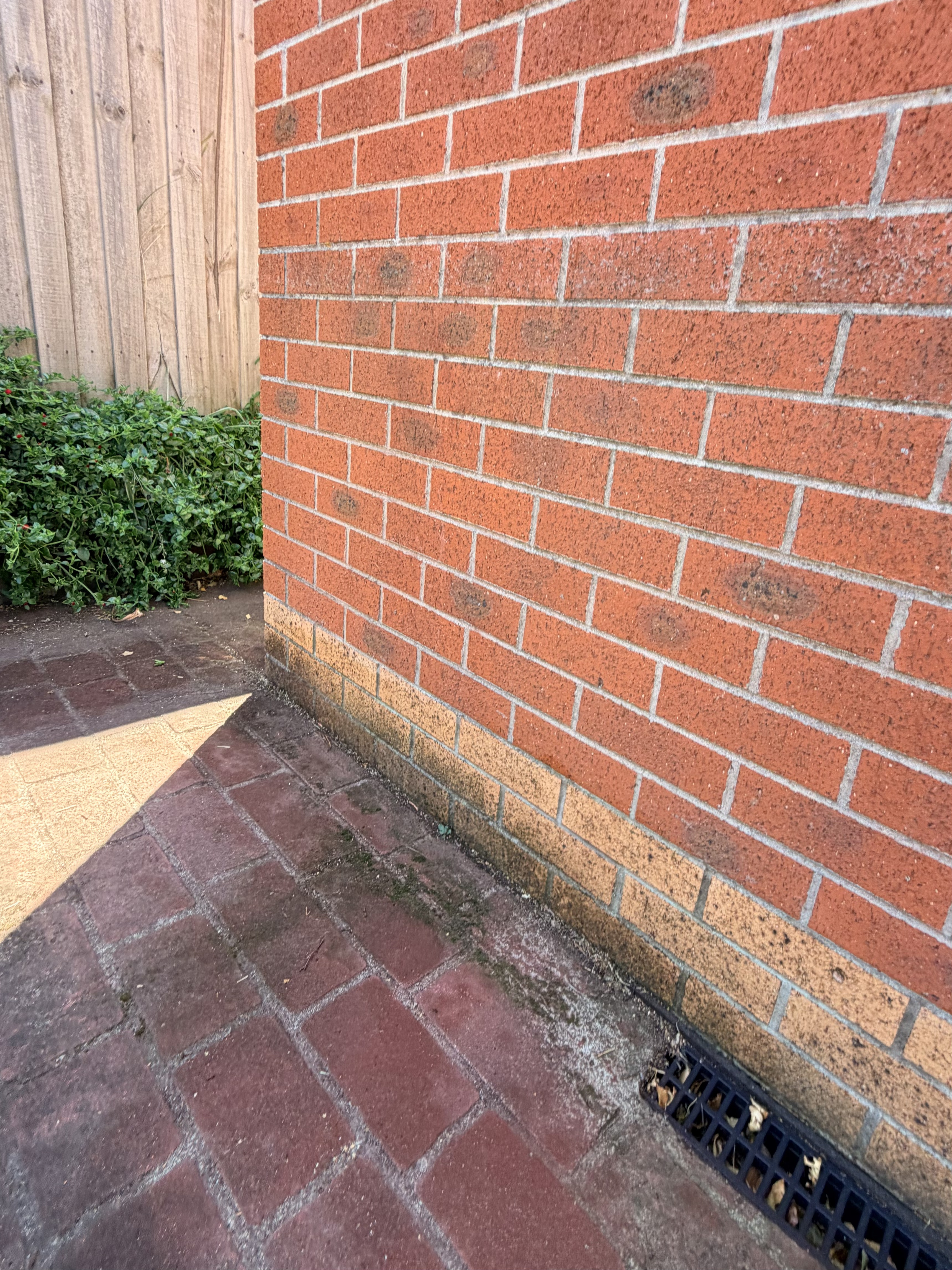Brick facade before house washing — South East Melbourne