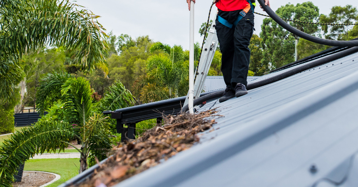Professional gutter and roof cleaning in action